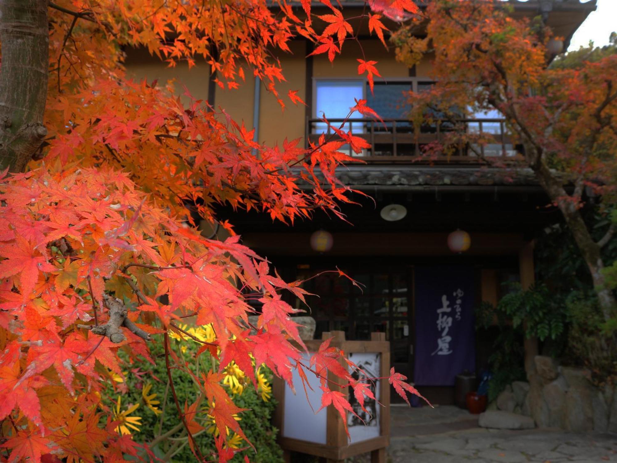 Hotel Yunohira Kamiyanagiya à Yufu Extérieur photo