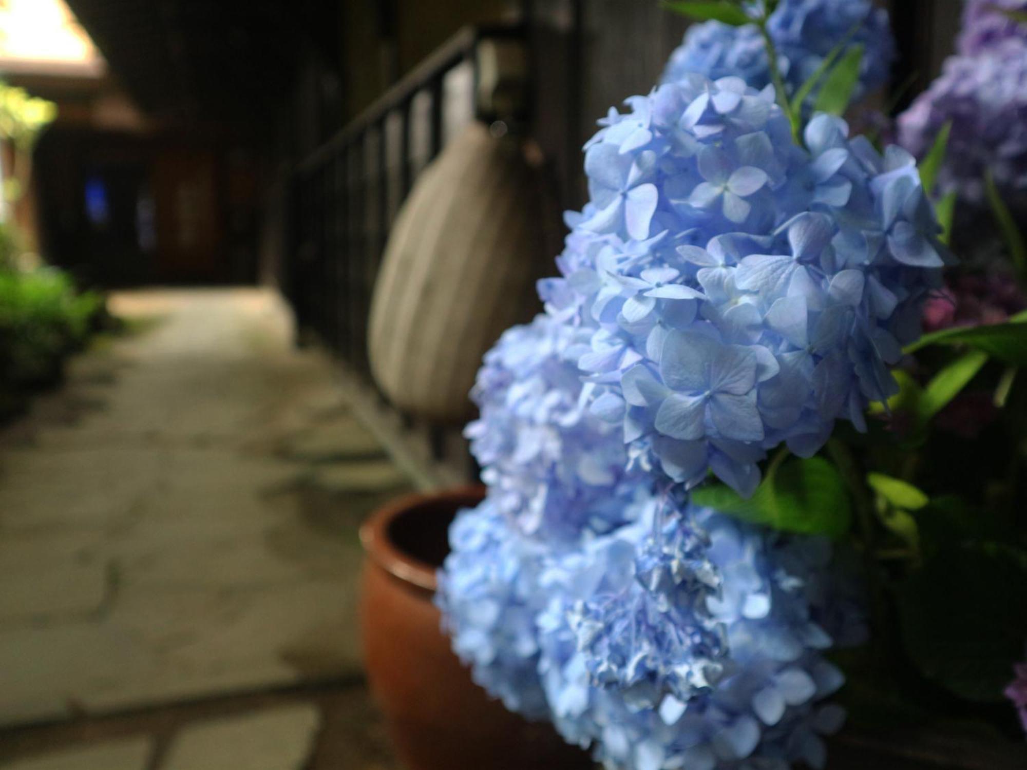 Hotel Yunohira Kamiyanagiya à Yufu Extérieur photo